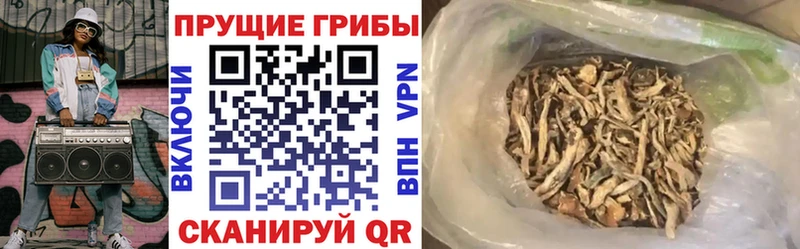 Галлюциногенные грибы Magic Shrooms  блэк спрут tor  Камешково  закладки 